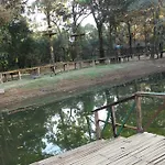 Shangri La Jungle Village